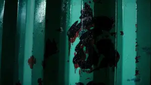 Backdrop to the movie "Teenage Mutant Ninja Turtles" #801225