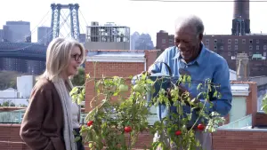 Backdrop to the movie "5 Flights Up" #388063