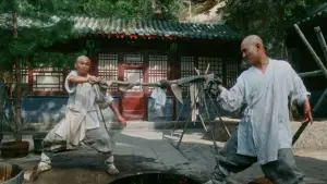 Backdrop to the movie "Tai-Chi Master" #948793