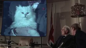 Backdrop to the movie "Never Say Never Again" #664914