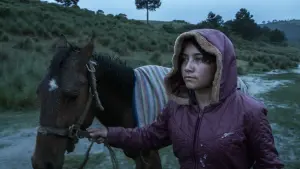 Backdrop to the movie "The Echo" #191945