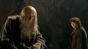 Backdrop to the movie "The Lord of the Rings: The Fellowship of the Ring" #747855