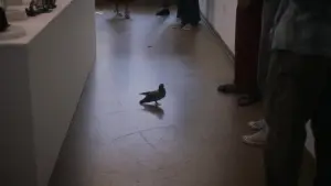 Backdrop to the movie "Showing Up" #811604