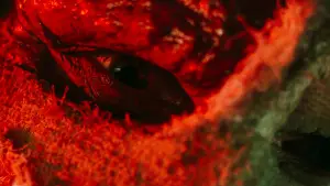 Backdrop to the movie "Darkman" #672397