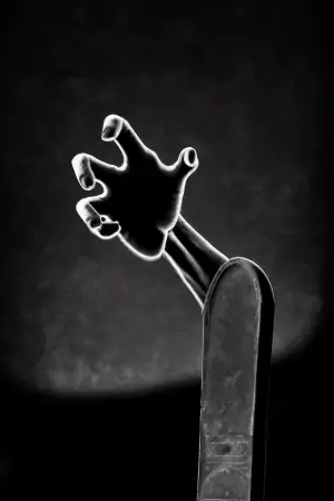 Poster to the movie "Night of the Living Dead" #697310