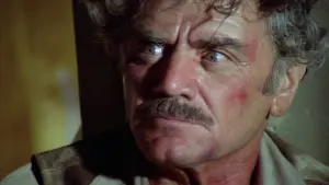 Backdrop to the movie "Convoy" #465558