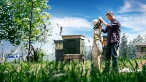 Backdrop to the movie "Miłość jak miód" #756752