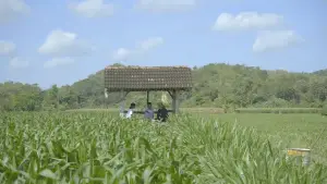 Backdrop to the movie "Memang Kalian Tahu Apa?" #824868