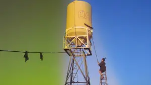 Backdrop to the movie "Bagdad Cafe" #230498