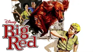 Backdrop to the movie "Big Red" #743546