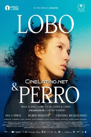 Poster to the movie "Wolf and Dog" #393525