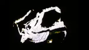 Backdrop to the movie "Chinese Series" #744106