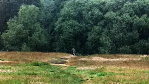 Backdrop to the movie "Monty Python and the Holy Grail" #665010