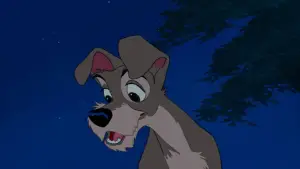 Backdrop to the movie "Lady and the Tramp" #629696