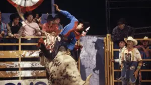 Backdrop to the movie "8 Seconds" #428827