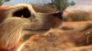 Backdrop to the movie "Catch It" #665996