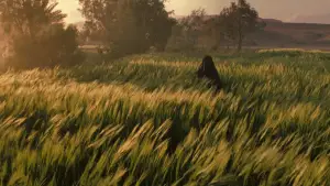 Backdrop to the movie "Kingdom of Heaven" #832015