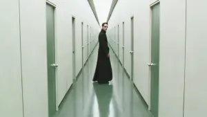 Backdrop to the movie "The Matrix Reloaded" #244256