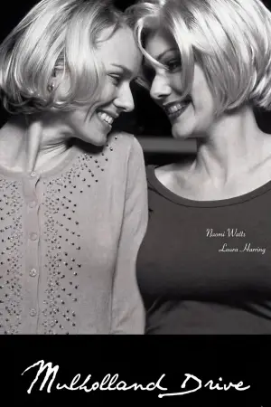 Poster to the movie "Mulholland Drive" #753505