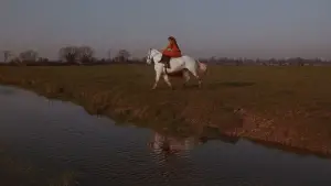 Backdrop to the movie "Fanny Hill" #649240