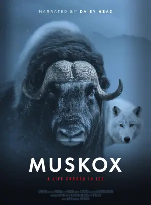 Movie poster "Muskox"