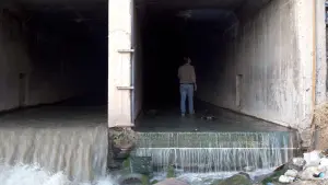 Backdrop to the movie "Where is Gilgamesh?" #368934