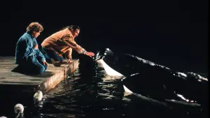 Free Willy 2: The Adventure Home