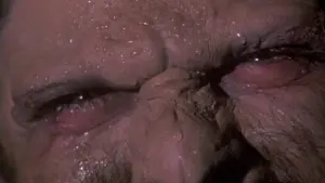 Backdrop to the movie "Howling II: Stirba - Werewolf Bitch" #482396