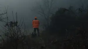 Backdrop to the movie "Beast" #851277