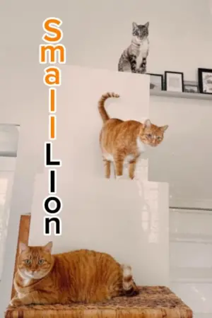 Poster to the movie "Small Lion" #468021