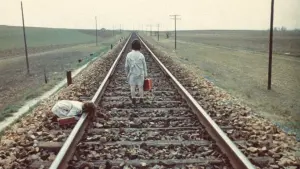 Backdrop to the movie "The Spirit of the Beehive" #204429