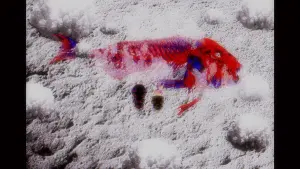 Backdrop to the movie "PICNIC" #457257