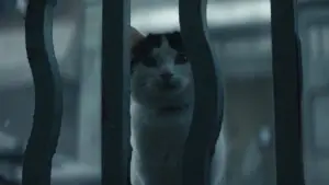 Backdrop to the movie "A Quiet Place: Day One" #563332