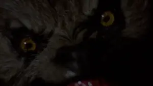 Backdrop to the movie "An American Werewolf in London" #701839