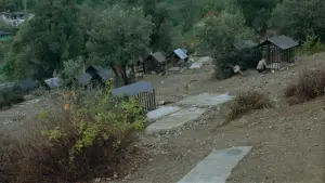 Backdrop to the movie "Where Is My Friend