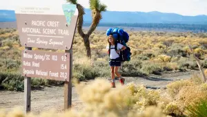 Backdrop to the movie "Wild" #245807