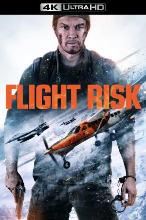 Poster to the movie "Flight Risk" #576372