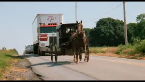 Backdrop to the movie "Witness" #672977