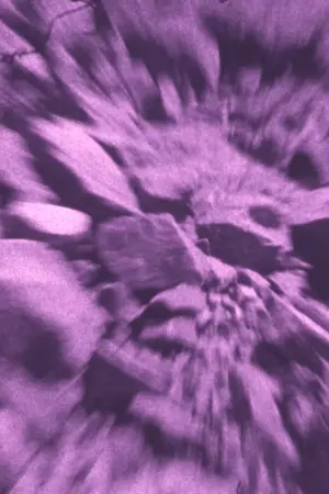 Poster to the movie "Second Slide" #468656