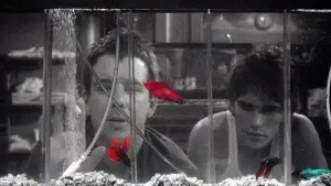 Backdrop to the movie "Rumble Fish" #720937