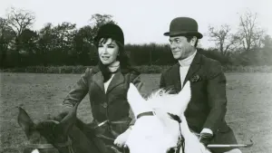 Backdrop to the movie "Arrivederci, Baby!" #498891