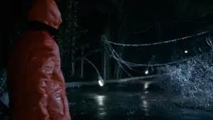 Backdrop to the movie "The Ice Storm" #505966