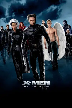 Poster to the movie "X-Men: The Last Stand" #642132