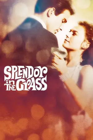 Poster to the movie "Splendor in the Grass" #365059