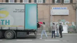 Backdrop to the movie "Cinema Lives – Arthouse Theatres in Germany" #778244