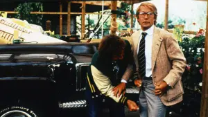 Backdrop to the movie "One-Week Bachelors" #711817