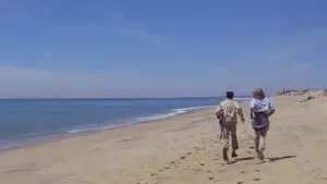 Backdrop to the movie "Jaws" #768206