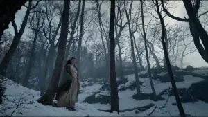 Backdrop to the movie "The Revenant" #516926