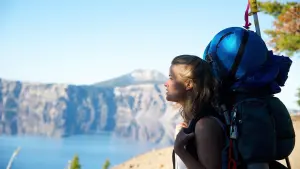 Backdrop to the movie "Wild" #245808