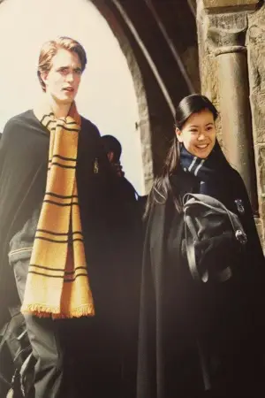 Poster to the movie "Harry Potter and the Goblet of Fire" #830004
